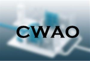 CWAO+工藝處理含鹽廢水